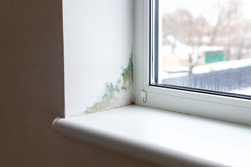 Condensation and mould issues