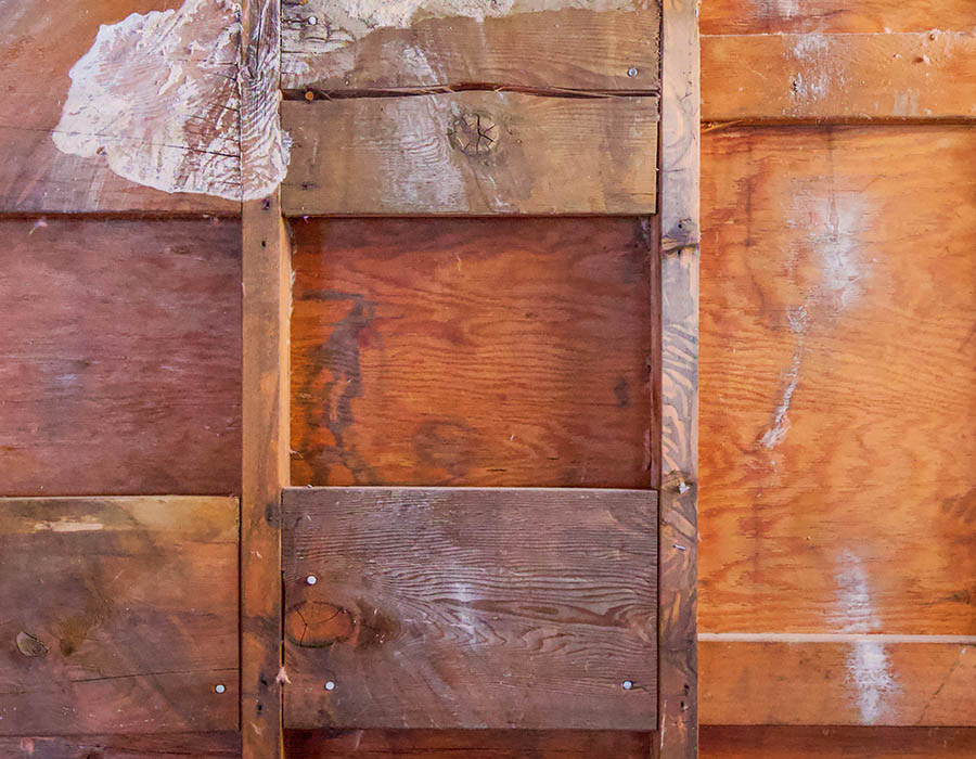 dry rot